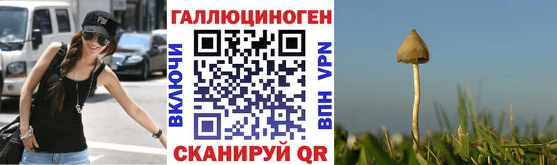 Галлюциногенные грибы Cubensis  это какой сайт  Дзержинский 
